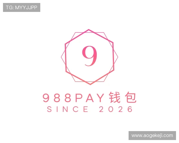 关于988PAY钱包